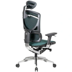 Эргономичное кресло GT Chair I-See SE-13D LP-04