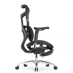 Эргономичное кресло Falto Scala Office с подножкой (разделённый поясничный упор, сетка, чёрный)