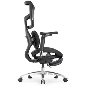 Эргономичное кресло Falto Scala Office с подножкой (разделённый поясничный упор, сетка, чёрный)